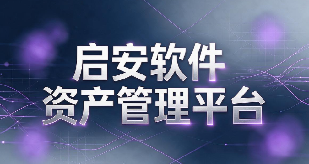 如何检测盗版软件使用？6 款热门检测工具盘点，帮企业规避风险(图7)