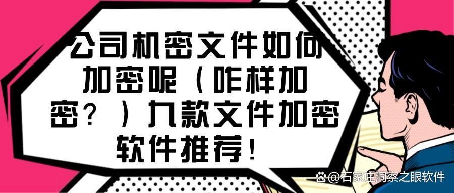 文件加密软件有哪些?九款好用的文件加密软件(2025最新排行榜)(图1)