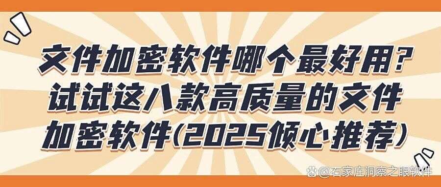 文件加密软件有哪些?2025八款高效的文件加密软件分享(图1) 文件加密软件有哪些?2025八款高效的文件加密软件分享(图1)
