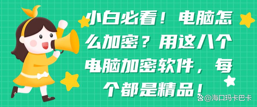 小白必看！电脑怎么加密？用这八个电脑加密软件，每个都好用！(图1)