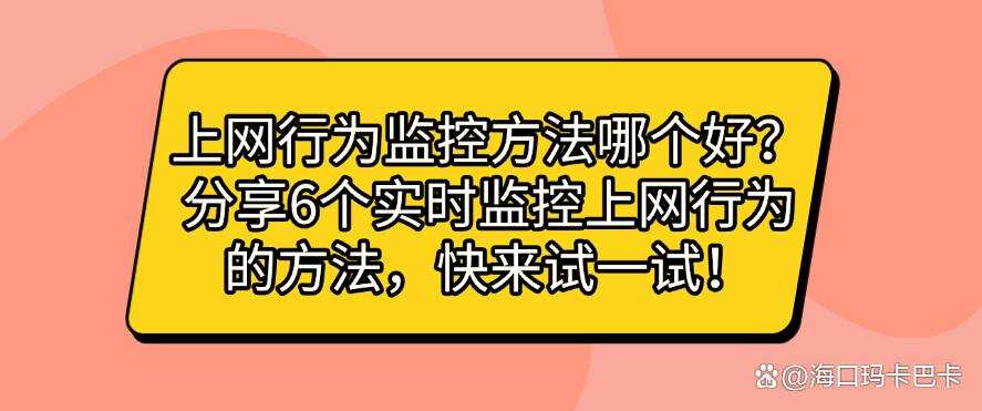 上网行为监控方法哪个好?分享6个实时监控上网行为的方法!(图1) 上网行为监控方法哪个好?分享6个实时监控上网行为的方法!(图1)