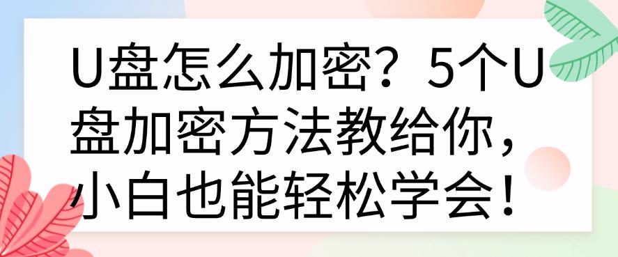 U盘怎么加密？5个U盘加密方法教给你，小白也能轻松学会！快码住(图1)