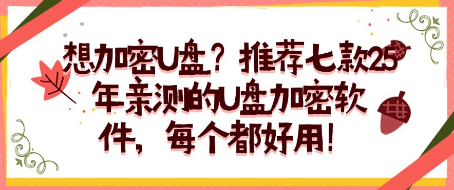 想加密U盘？推荐七款25年亲测的U盘加密软件，每个都是精选！(图1)